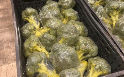 De laatste broccoli van het seizoen: een geschenk voor de Voedselbank