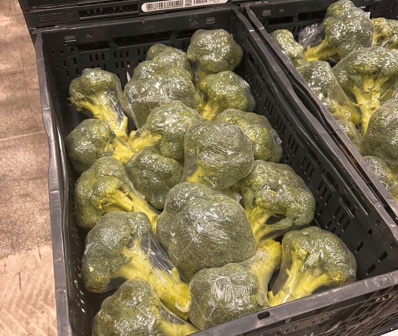 De laatste broccoli van het seizoen: een geschenk voor de Voedselbank