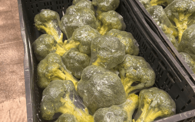 De laatste broccoli van het seizoen: een geschenk voor de Voedselbank
