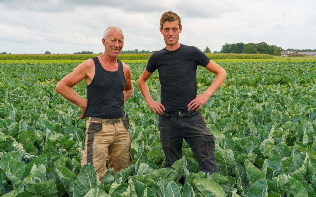 J.W.J. Sikkink V.O.F.