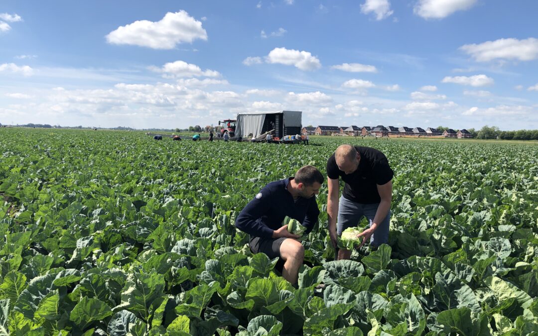 PJ Laan en Zn. Andijk BV