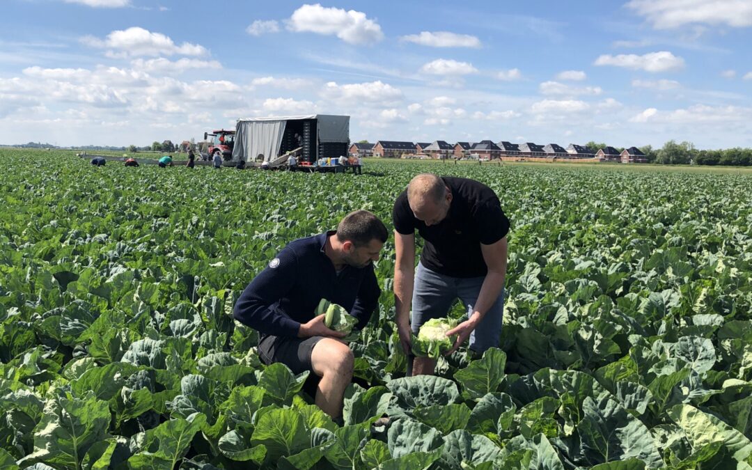 PJ Laan en Zn. Andijk BV