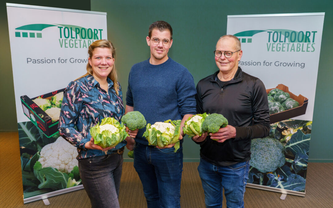 Gebr. Hoff & Zn sluit aan bij Tolpoort Vegetables: areaal met 155ha uitgebreid